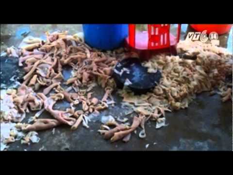nem chua thanh hóa - (Truyền hình VTC14) - Thời gian qua trên một số trang báo mạng có đưa thông tin hình ảnh về cơ sở sản xuất nem chua Hoa Cải tại thị xã Bỉm Sơn tỉnh Thanh Hóa...