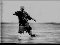 chen manchings yang form