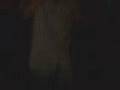 videos de Borracho con plumero