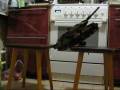 videos de Leopard 2A6 R/C stunt