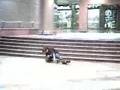 Skateimpact.com's F1rst Impression Teaser