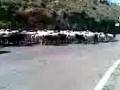 videos de Pelotón agrupado en Creta