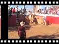 EL PEDREGAL