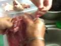 How to cook a cuy