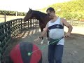 Horsemanship Drills in a Roundpen & Play 6