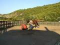 Horsemanship Drills in a Roundpen & Play 6