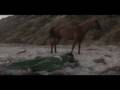 Julia Holter: Fur Felix by Fenslerfilm