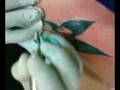 Tatuagem Debora Muriel Damaceno
