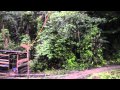 Canamex Resources  video