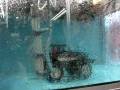 videos de cananea car wash automatizado