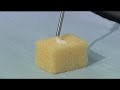Injectable Bone