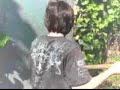 bet-tor-life.html