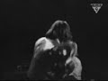 Born to Be Wild - Steppenwolf (Tradução) Born to Be Wild - Steppenwolf (Tradução)