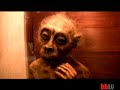 cryptozoology  boing boing tv 