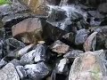 MAIN SALMON RIVER TRIP IN IDAHO/ DOWN BEAT w/DJ TSP MIX