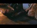 Resume Reel Roger Bezanis Alligator 1980 Fame is a B$tch