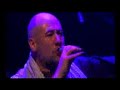 Fish live in Amsterdam Fish live in Amsterdam