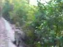 Hiwassee Train Ride 1