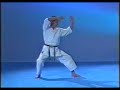 karate shotokan   heian yondan
