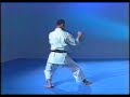 karate shotokan   heian yondan
