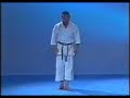 karate shotokan   heian yondan