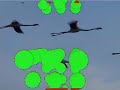 Planes