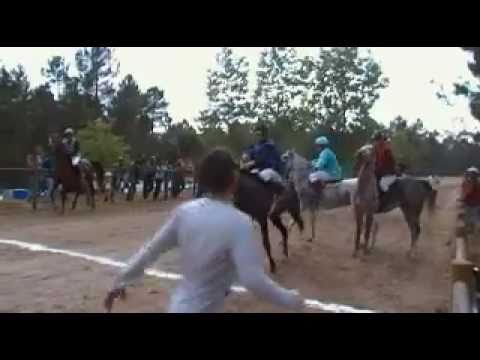 CARREIRA DE CABALOS CARTELLE 2011 PRA