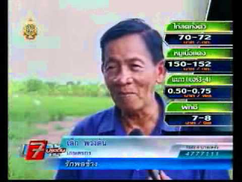 ตามทันเกษตร -