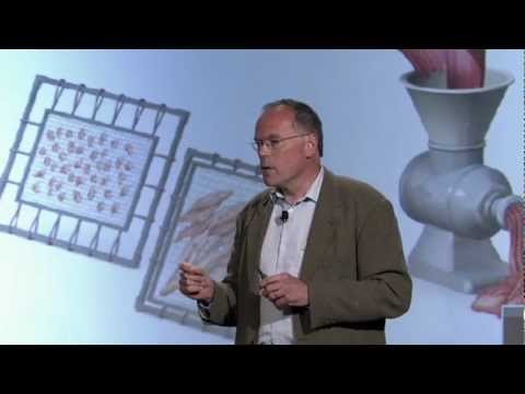 Innovation Forum 2012: Mark Post on Kill-Free Meat
