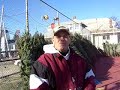 christmas-trees-to-benefit-hull-youth-football.html