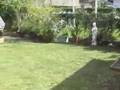 Hauula part 2