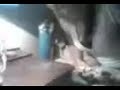 al pedo y tragando cenisa