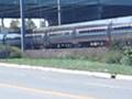 Amtrak Regional passes by somewhere in North Brunswick