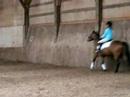 Kaitlyn and Dually