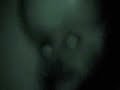 mutante-en-el-sotano.html