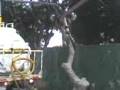 videos de video 52