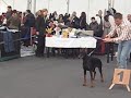 MVI_2653.AVI