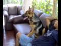 videos de Sooper n d Trainer