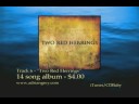 \"Two Red Herrings\" 6th song on album, \"TWO RED HERRINGS\"