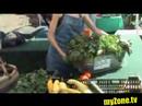 Farmers Market
