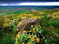 سورة المعارج للشيخ شيخ أبوبكر الشاطري Surat Al M'arej