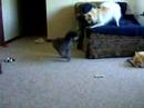 Henry and Maeby Henry and Maeby