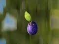 Free Fall Acceleration 9.81 m/s2 worms