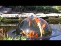 Koi Pearl For Koi Fish