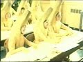 Bic Banana Ink Crayons with Charles Nelson Reilly