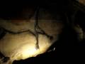 inner space caverns