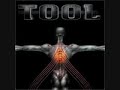 Tool Salival LAMC