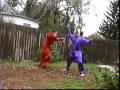 duida-wu-baji-quan-danda.html