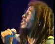 Bob Marley el Gnawi