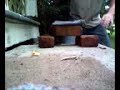 Brick Breaking - Iron Palm